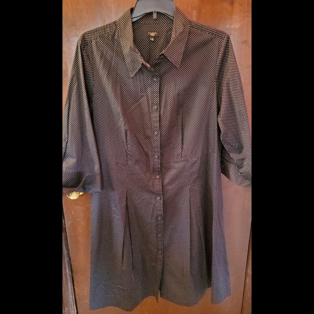 Talbots polka dot shirtdress